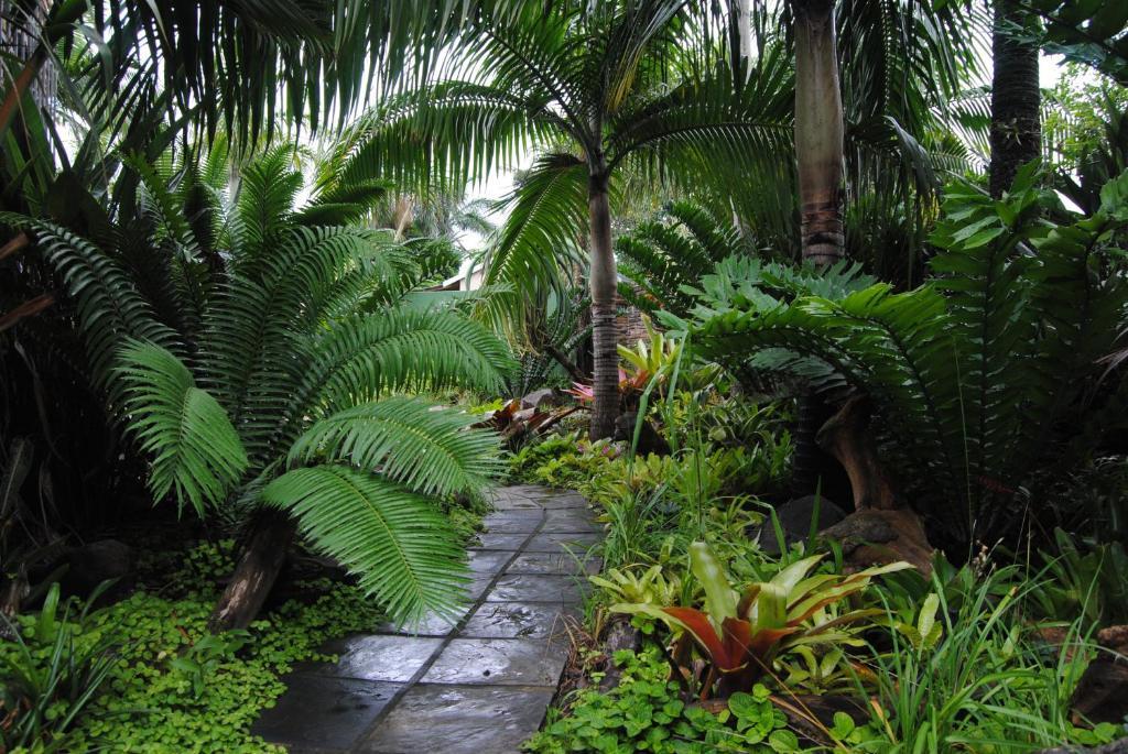 Buya Futhi Bed & Breakfast St Lucia Exterior photo