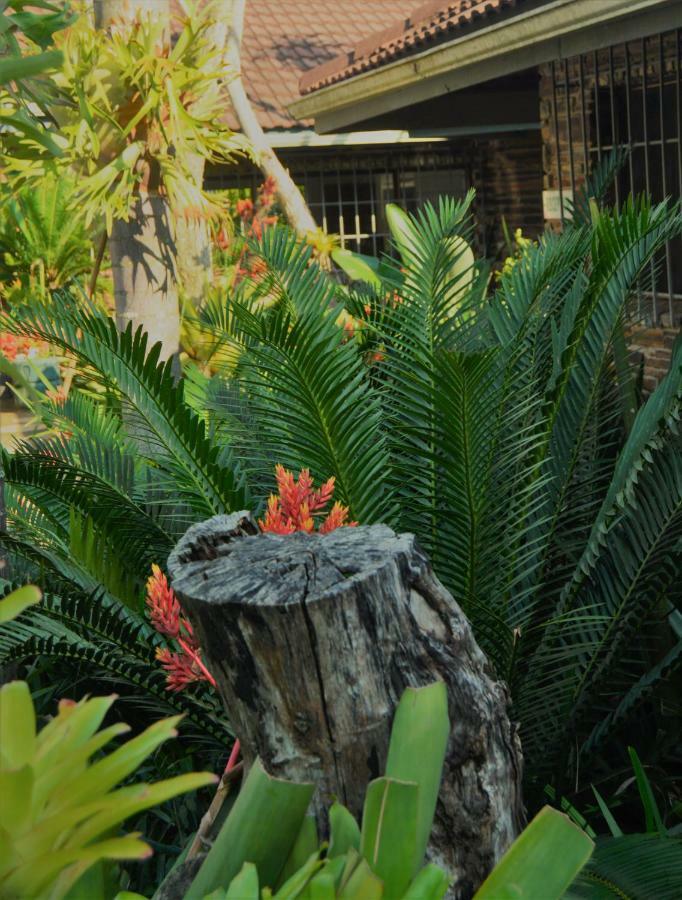 Buya Futhi Bed & Breakfast St Lucia Exterior photo